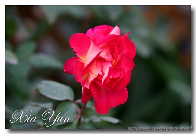 IMG_6555 ����.jpg