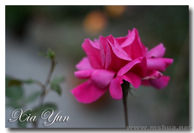 IMG_7318 ����.jpg