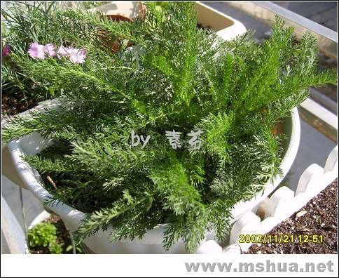 ��Ҫ������...���ˣ����ߵ��ԡ�