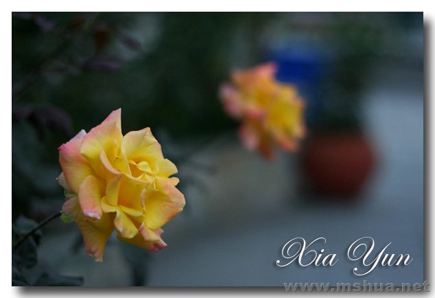 IMG_7313 ����.jpg