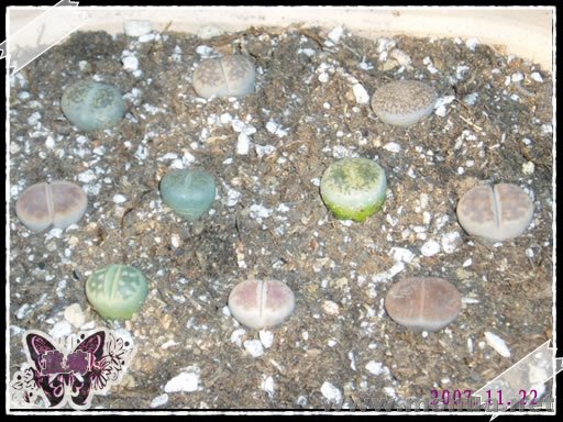 �ϰ�˵���ܽ�ˮ�������ҽ�������ȥ�ͻһҵ��ˡ����̡����������졣����