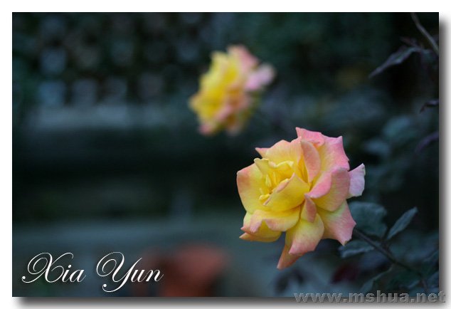 IMG_7312 ����.jpg