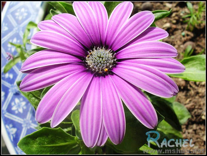 ����2��󡣡���