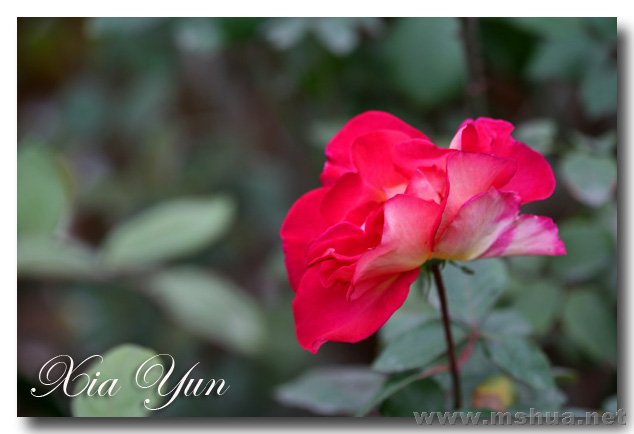 IMG_6556 ����.jpg