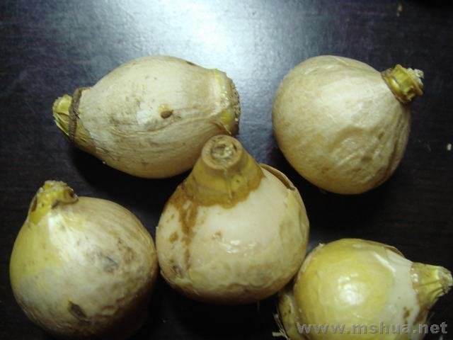 ƽ�⻢��������