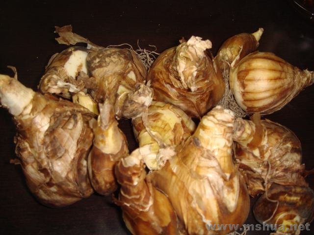 ������������ˮ��