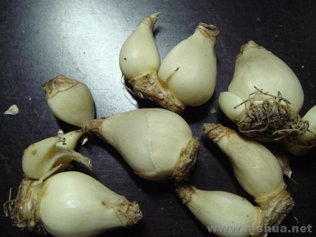 �׻����ѷ�����