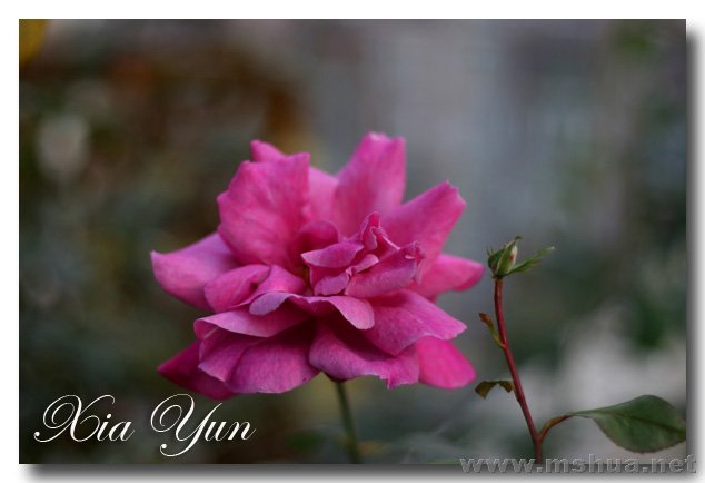 IMG_7336 ����.jpg