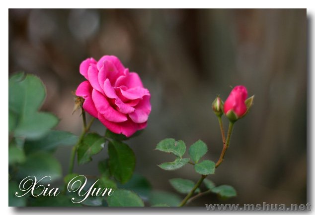 IMG_7333 ����.jpg