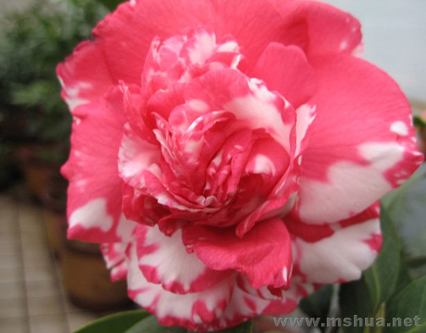 ��ĵ�� 07-11-26.jpg