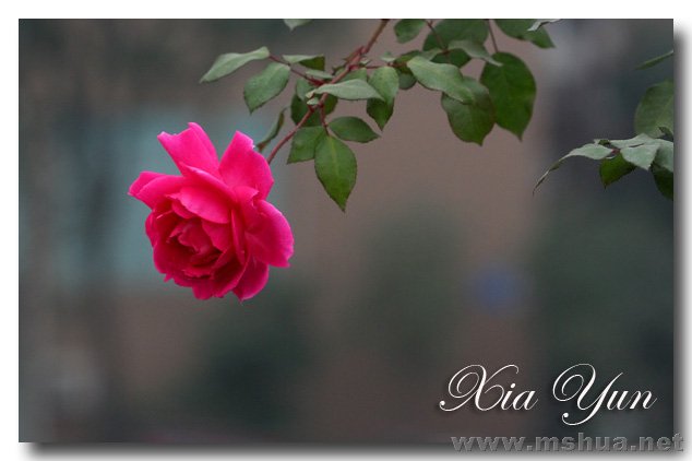 IMG_7434 ����.jpg