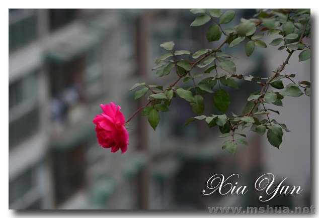 IMG_7436 ����.jpg