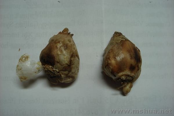 ����������������