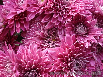 DSC03720.JPG