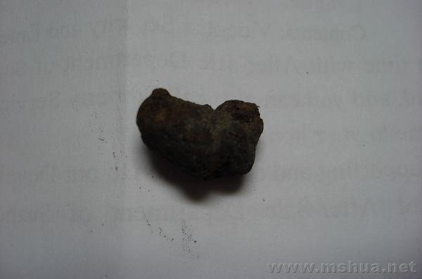 �����2����Ƭ