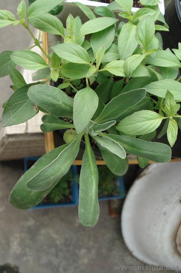 �������������һ����