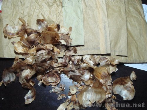 ��������ƤƤ