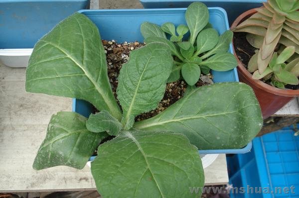 �ر�ʣ��ǲ��ǻ��̲��أ���ţ���ã�