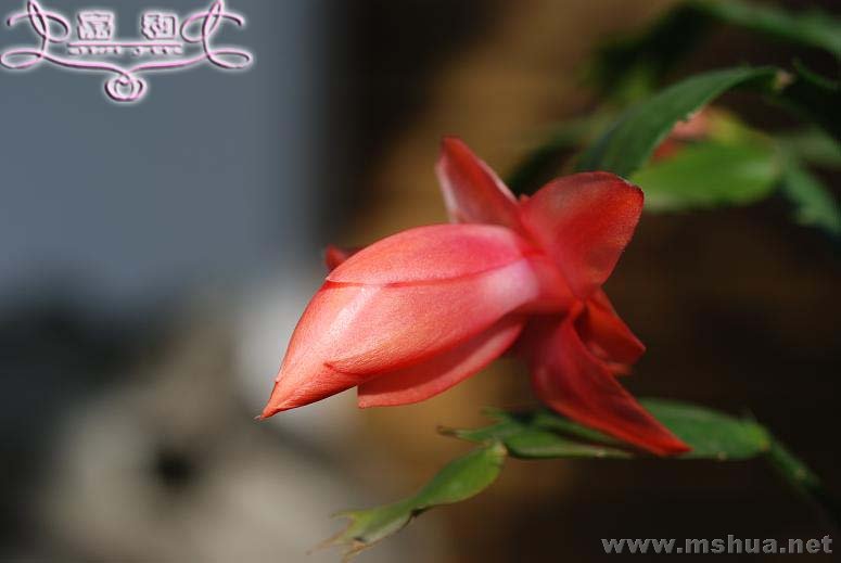 ��з2 ����.jpg