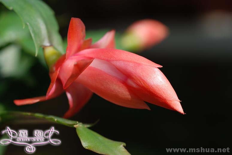 ��з4 ����.jpg