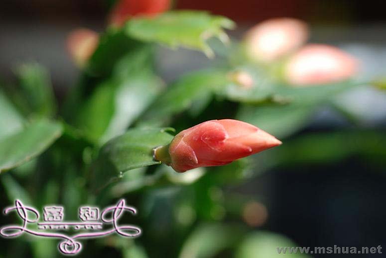 ��з1 ����.jpg