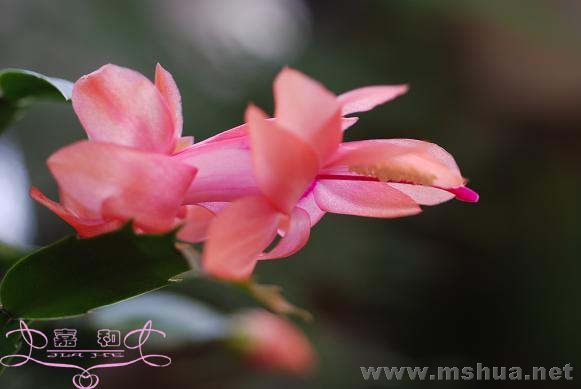 ��з5 ����.jpg