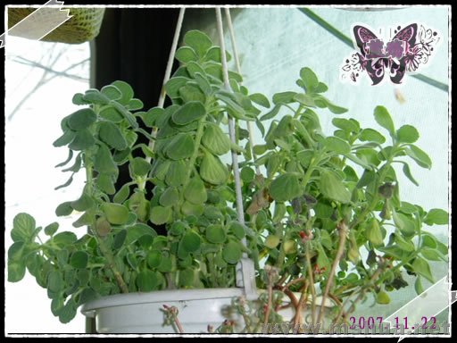 �ڶ��裬������