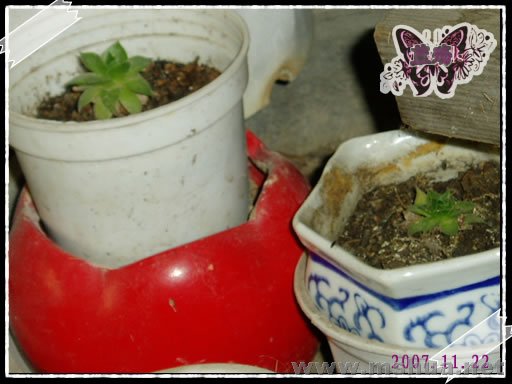 ������ (3).jpg