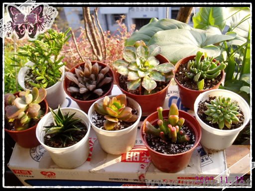 ����ȫ�Ҹ���������