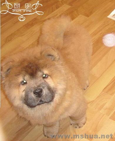 136 ����.jpg