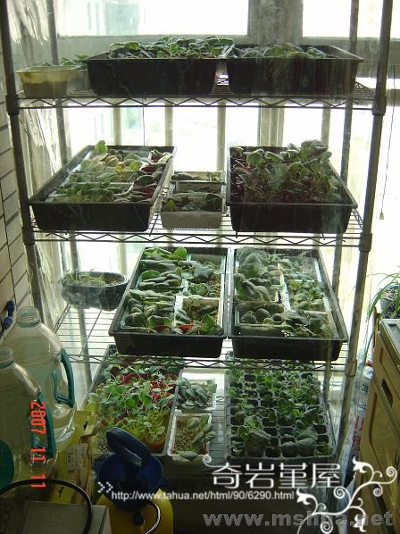 �⼸�����Լ����������