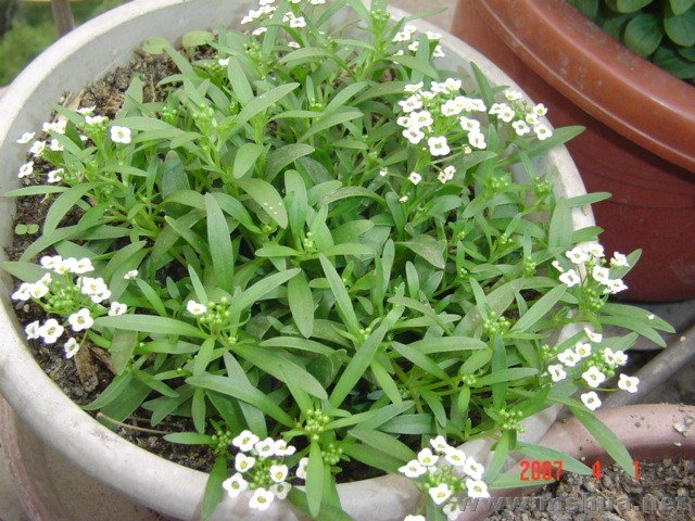 �Դ�һ����