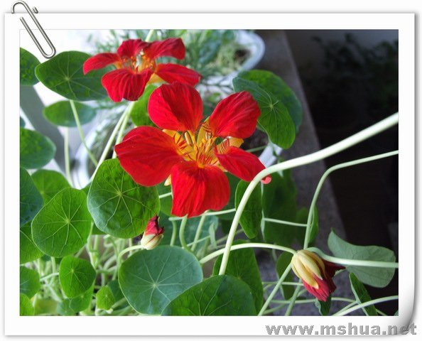 ������С DSCF0007.jpg