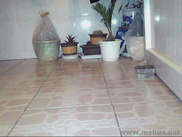 ͼƬ 019.jpg