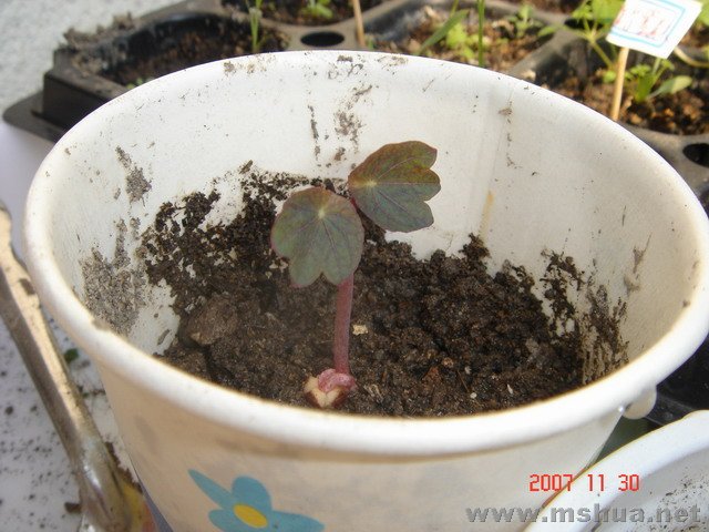 DSC01257.JPG