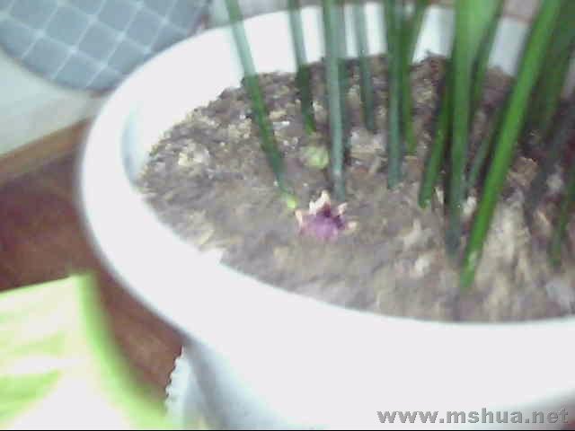 ͼƬ 016.jpg