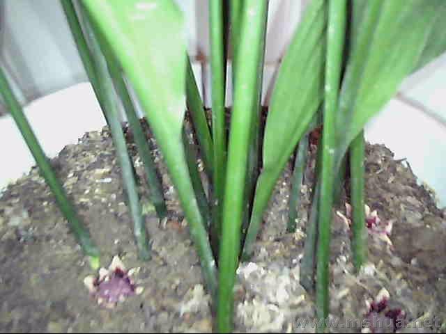 ͼƬ 017.jpg