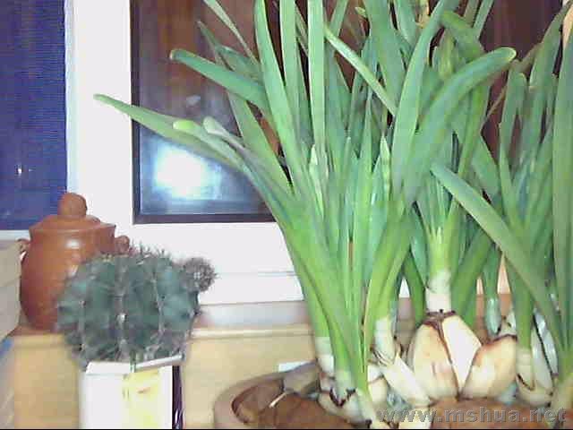 ͼƬ 012.jpg