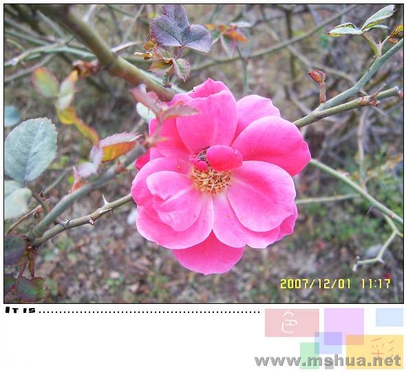 SUC59456_nEO_IMG.jpg