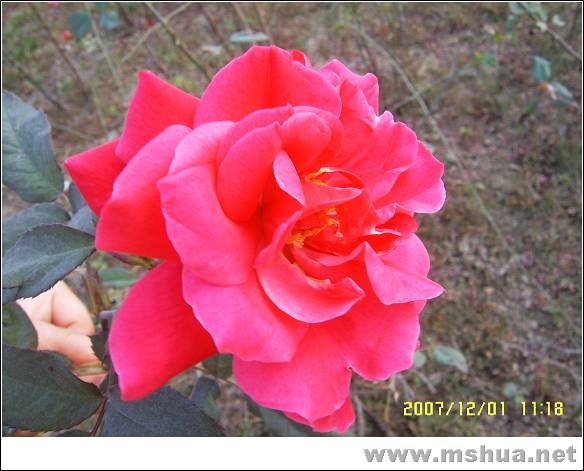 SUC59460_nEO_IMG.jpg