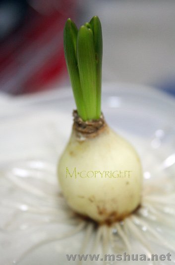 12��2����