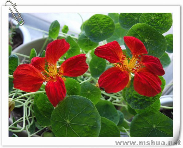 ������С DSCF0006.jpg