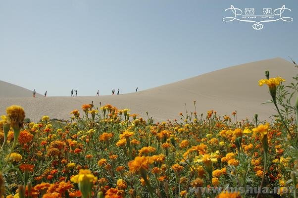 ɳĮ 162 ����.jpg