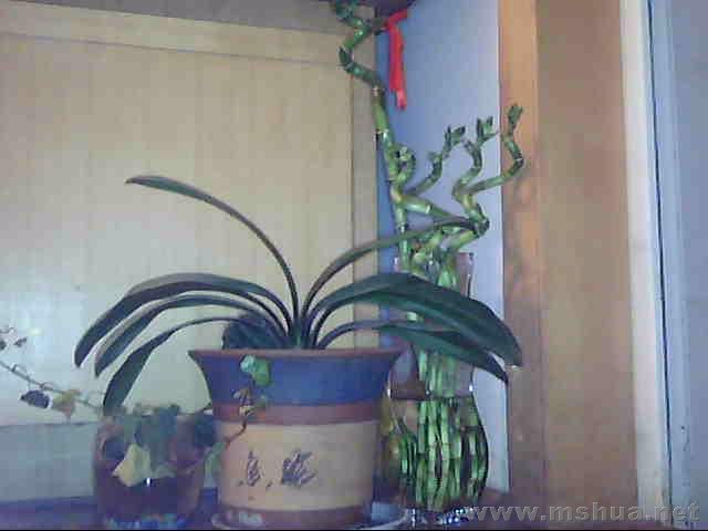 ͼƬ 020.jpg