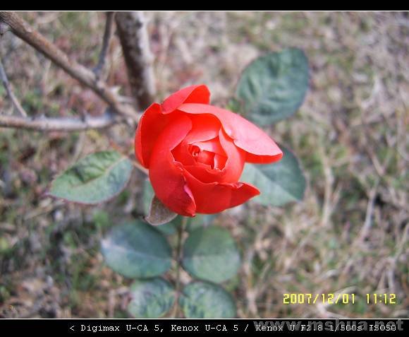 SUC59449_nEO_IMG.jpg