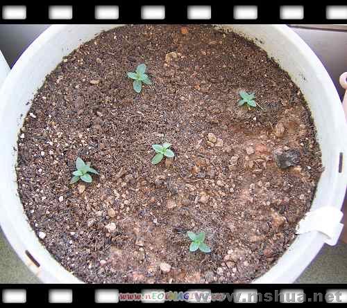 ����Ʒ�ֵ���۹����ִ����