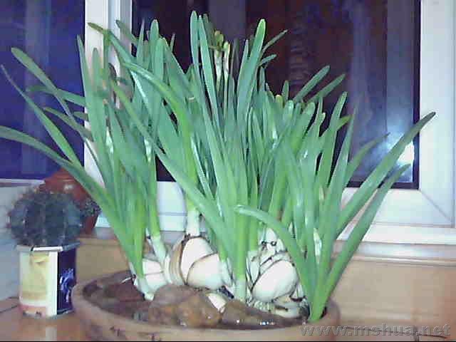 ͼƬ 004.jpg