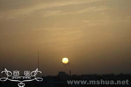 ɳĮ 214 ����.jpg