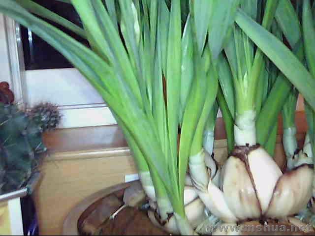 ͼƬ 011.jpg