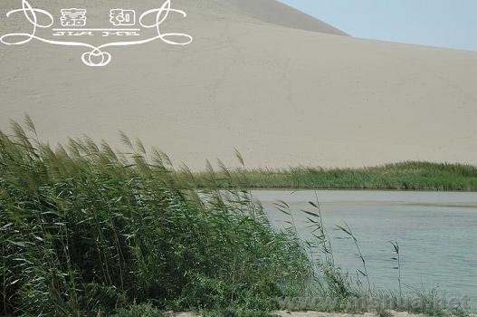 ɳĮ 170 ����.jpg